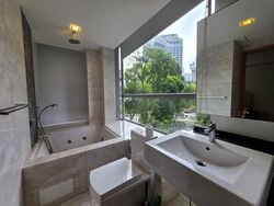 Angullia Park Residences @ Orchard (D10), Apartment #627940391